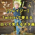 【クレイジー】Twitterで使える面白くて笑えるネタ画像