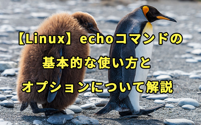 【Linux】echoコマンドの基本的な使い方とオプションについて解説