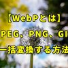 【WebPとは】JPEG(JPG)、GIF、PNGを一括でWebPファイルに変換する方法についても解説