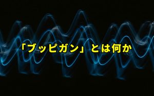 「ブッピガン」とは何か