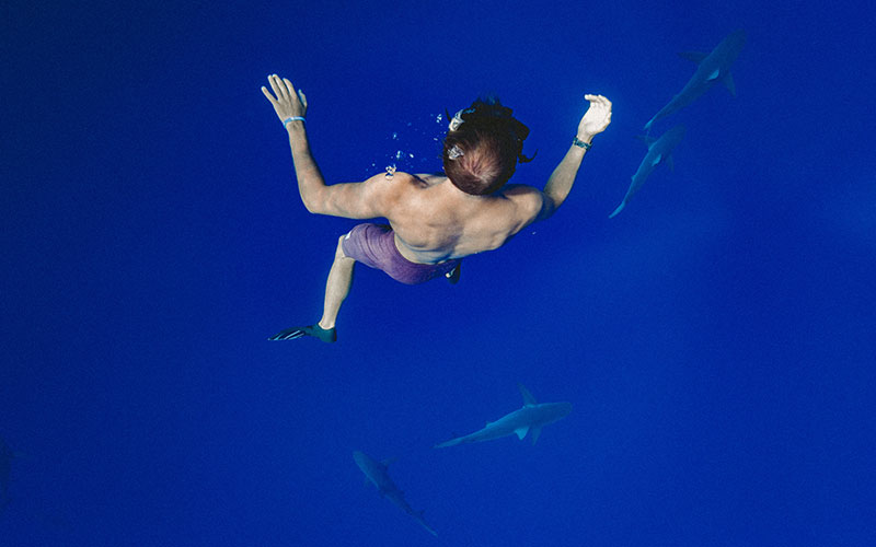 【海の怖い写真】海洋恐怖症であれば目を背けたくなる画像まとめ